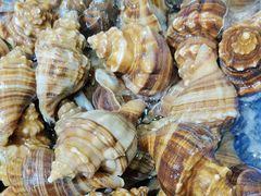 -海味当家·蒸锅海鲜(星海公园店)
