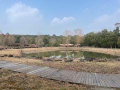 -同里国家湿地公园