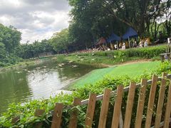 -广州长隆飞鸟乐园