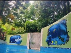 -重庆海昌加勒比海水世界