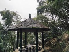 -长沙黑麋峰国家森林公园