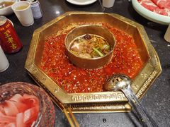 -蜀九香火锅(彩虹店)