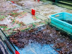-渔傅·蓝海岸霞浦海鲜(正祥店)