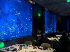 -渔火·特色餐厅(佘山世茂洲际酒店)