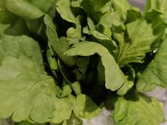 -王家渡火锅(金宝汇店)