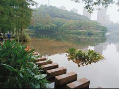 -重庆彩云湖湿地公园
