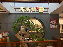 -高玛纳驴肉火烧(河间总店)