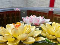-西安市广仁寺