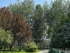 -仁和公园(顺义区)