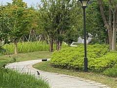 -杭州灵山景区