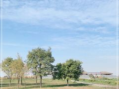 -汉景帝阳陵博物院