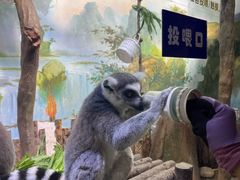 -大连圣亚海洋世界