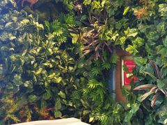 角落里的绿植-亮雅轩图文快印连锁24小时(百子湾苹果社区店)