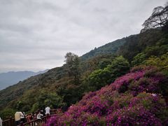 -广州市石门国家森林公园