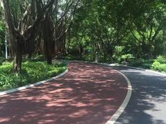 -南宁南湖公园