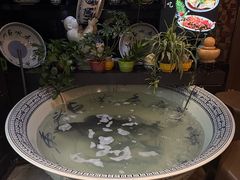 -南京金牛湖巨碗鱼头