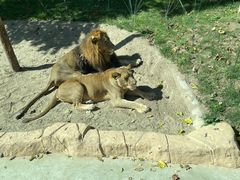 -北京野生动物园
