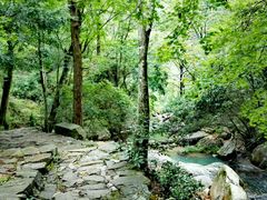 -湖州龙王山景区