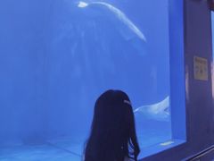 -多彩贵州城极地海洋世界