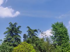 -汤臣海派理疗公馆