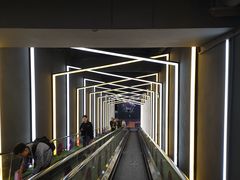 -Tenker Club弹刻极限主题公园 · 蹦床 · 团建 · 生日派对(大关店)