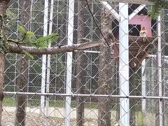 -小八仙·宴(三峡茶庄店)