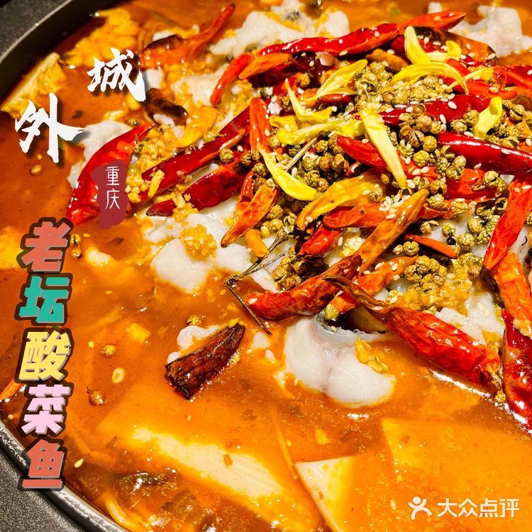 黑鱼现杀|陈坛上头|鲜辣合壁|酸菜可以放心吃的酸菜鱼吃到爽🐟