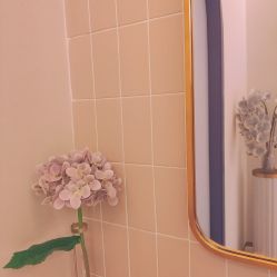 -蕾蕾美颜美容美体