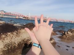 -玫瑰海岸文化旅游度假区