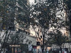 -瑞虹新天地月亮湾