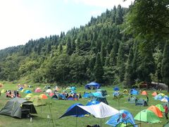 -武陵山森林公园