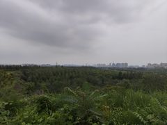 -滇越乘象云南餐厅(豆各庄店)
