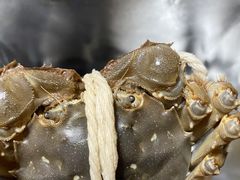 -阳澄湖大闸蟹·琼灵阁牌品牌连锁(吴中总店)