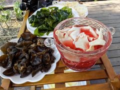 -二荆条·蜀鲜汇城市森林火锅