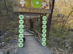 -大岭沟猕猴桃谷风景区