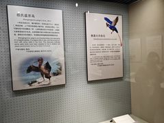 -辽宁古生物博物馆