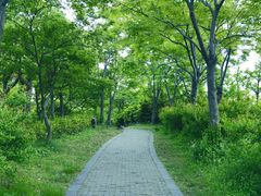江湾湿地公园-新江湾城公园