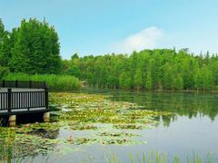 -白鹭湾湿地公园