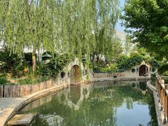 -南宫五洲植物乐园