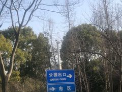 -宝界山林公园