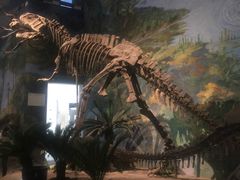 -自贡恐龙博物馆
