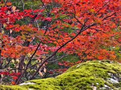 -本溪老边沟风景区