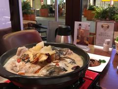 台南药膳鱼头猪手煲-度小月(百老汇美食街店)