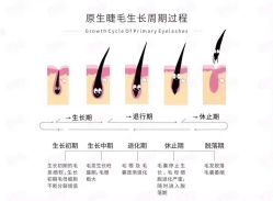 -慕拉美甲美睫皮肤管理