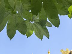 -西安市广仁寺