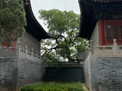 -中岳庙