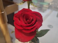 -海底捞火锅(八佰伴店)