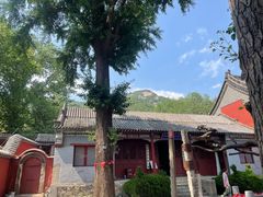 -泰山风景名胜区-普照寺