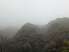 -沣峪口