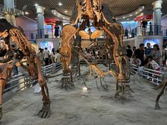 -国家自然博物馆